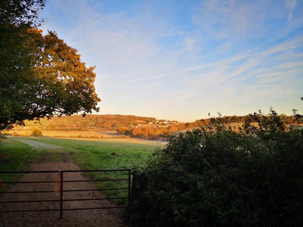 Sandown Manor Luaran gambar